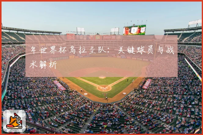 年世界杯乌拉圭队：关键球员与战术解析