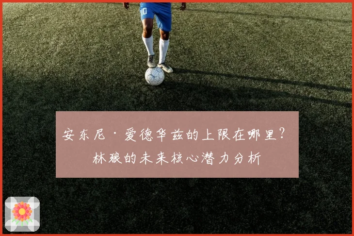 安东尼·爱德华兹的上限在哪里？森林狼的未来核心潜力分析