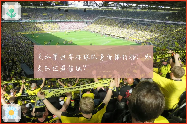 美加墨世界杯球队身价排行榜：哪支队伍最值钱？