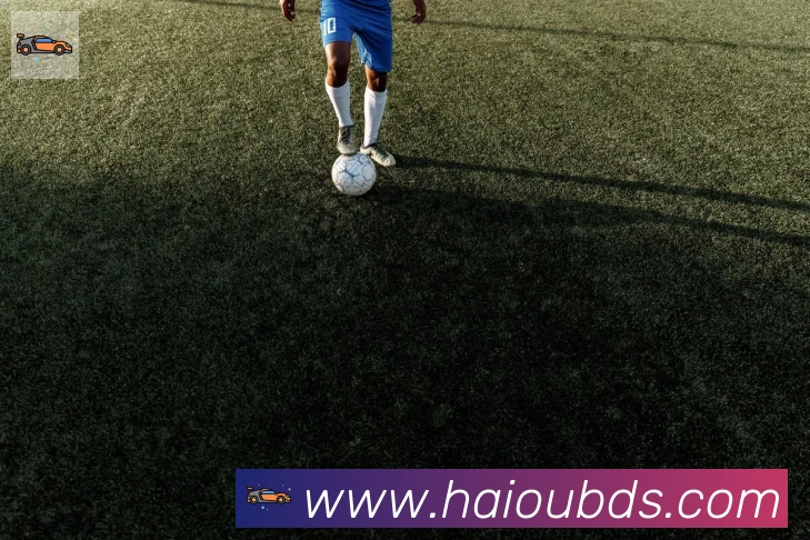 开云kaiyun网页版平台生态图