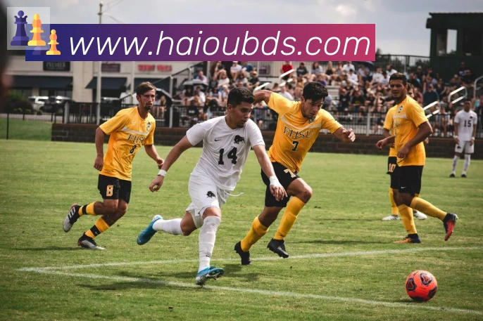 开云kaiyun网页版荣誉