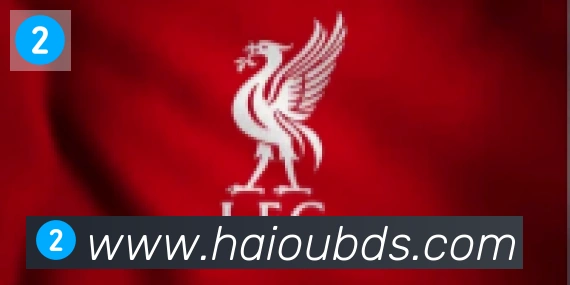 开云kaiyun网页版合作伙伴