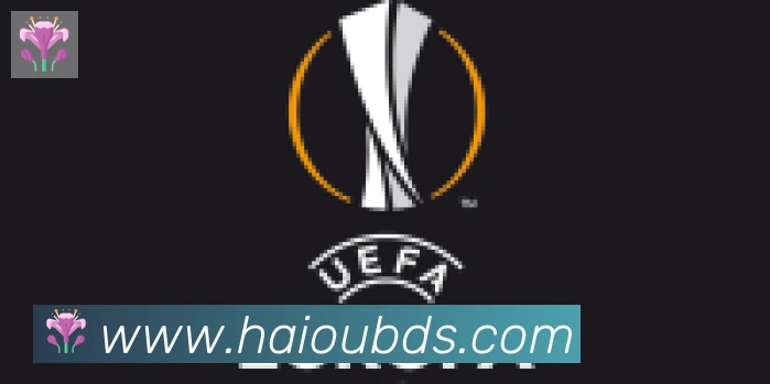 开云kaiyun网页版合作伙伴