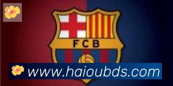 开云kaiyun网页版合作伙伴